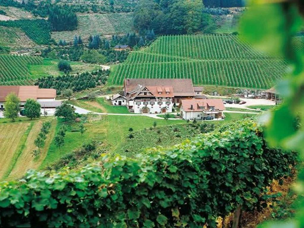 Weingut Alfred Huber Apartment Durbach Exterior photo