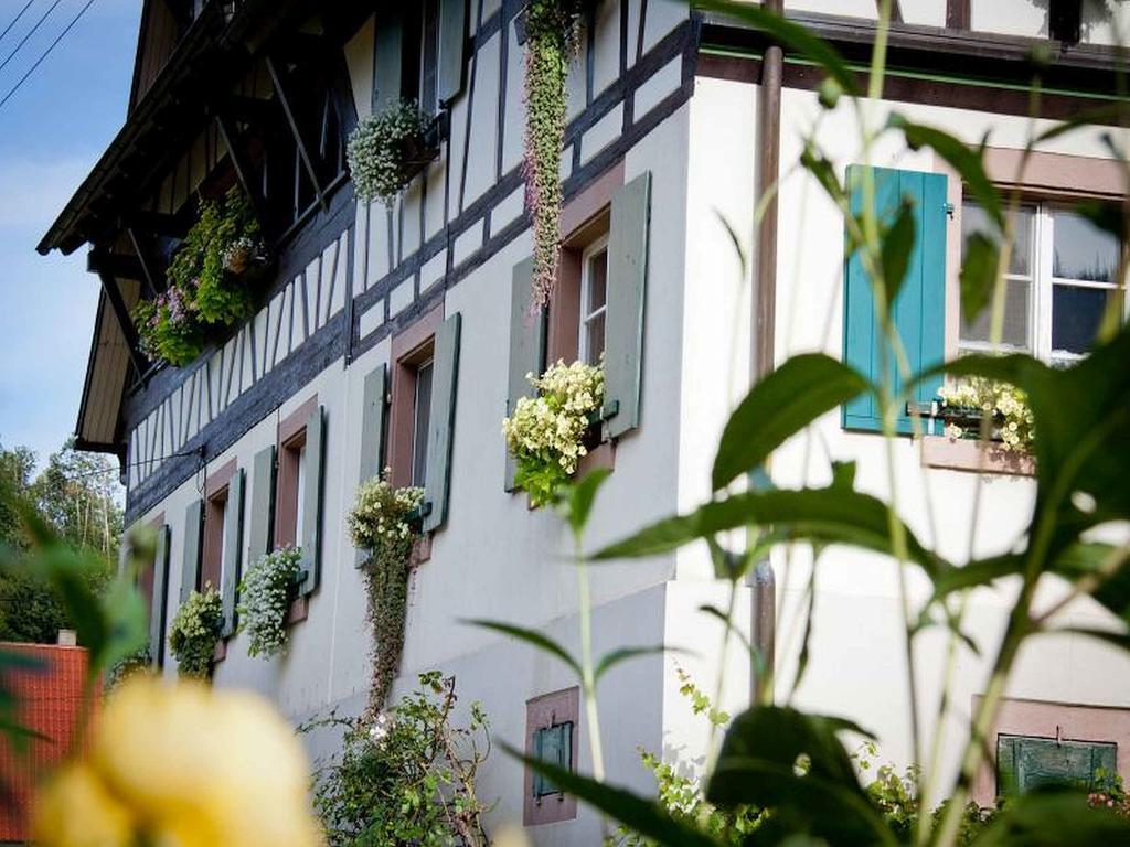 Weingut Alfred Huber Apartment Durbach Exterior photo