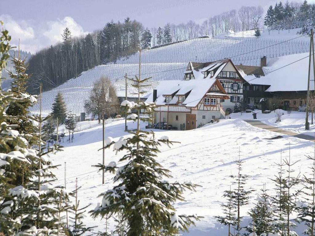 Weingut Alfred Huber Apartment Durbach Exterior photo